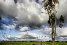 球速体育官方:NBA常规赛:老鹰vs热火比分预测分析(2月27日).