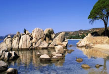 球速体育平台登录入口:“贪婪的肚子一直是我最好的对手'' – Oleksandr Usyk揭示了他对Tyson Fury的真正感觉.